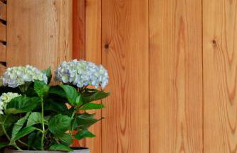 Ferienwohnung Waldzeit - Photo 27