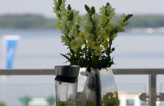 Hommage Appartements - Foto 5