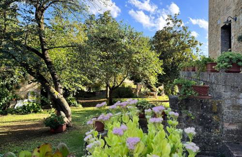 CLAUDIA VACANZA TOSCANA - Appartamento Melograno -10 min da Siena - Foto 30