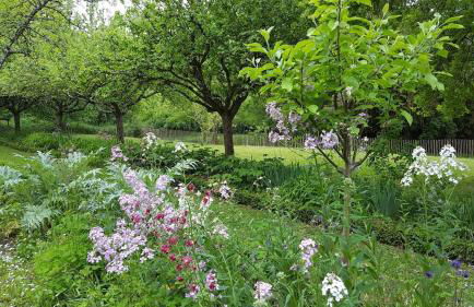gite au jardin de grand-père - Photo 22