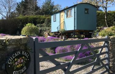 Shepherds Hut in the Hills - Nr. Mold - Foto 1