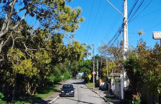 Loft Campeche Studio, Garden e Parking - Foto 25