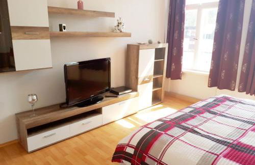 Pension Altenburg City - Foto 3