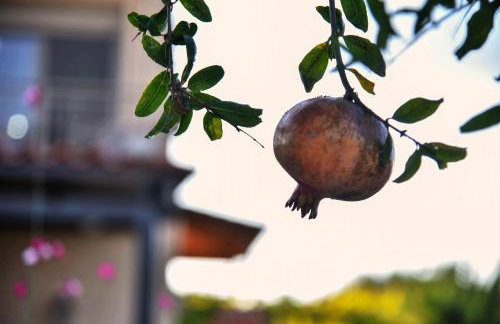 VillaBayViewCrete - Foto 62