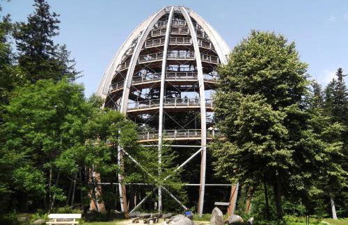 Ferienwohnung Penzkofer - Foto 45