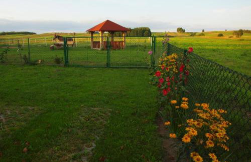 Wakacje u Babci Krysi - Foto 11