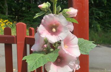 Ferienhaus Rhöner Wohnen - Foto 16