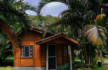 Chalés na Serra da Graciosa - Chácara Lucinda - 12km de Morretes - Photo 12