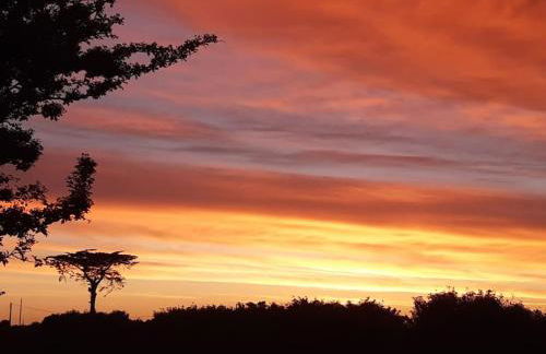 Logement 80 m2 avec terrasses entre les deux abers - Foto 29