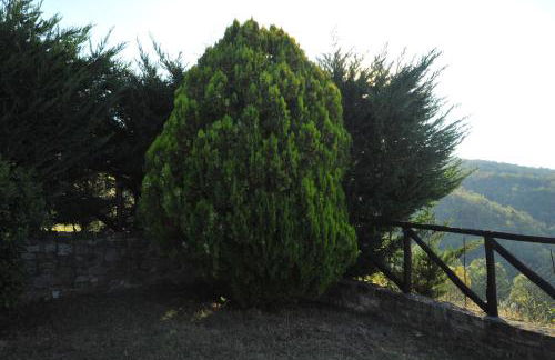 Agriturismo I Muri - Foto 14