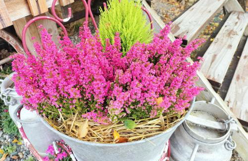 La roulotte de Jane - Foto 4