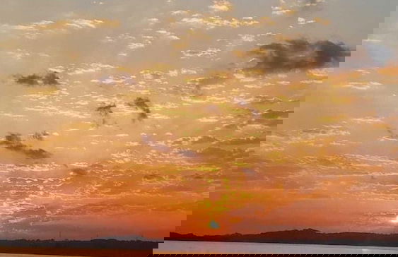 Tumba Sisli Vadi - Foto 26