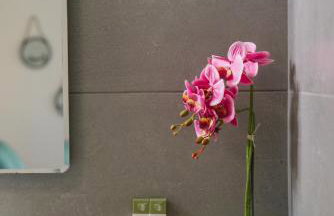 Ermis Luxury Suites & Apartments - Foto 50