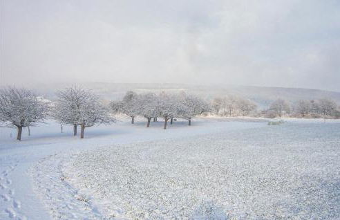 Cozy Apartment In Jesberg - Densberg - Foto 31