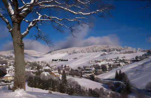 Drei Tannen - Foto 3