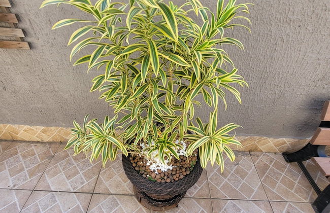 MORADAS VILA 57 - Foto 22