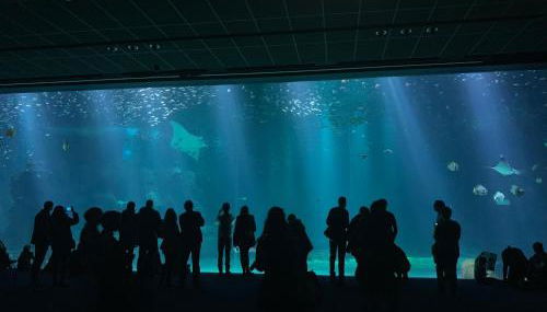 Appartement de 100m² bien situé - Foto 4