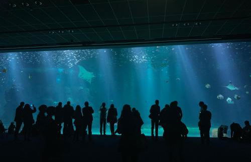 Appartement de 100m² bien situé - Foto 4