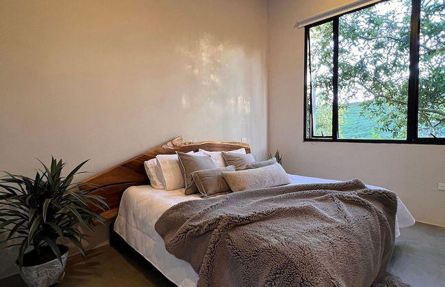 Gaia Experience - Foto 13