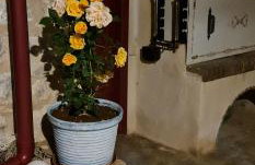 Olive oil mill - Foto 52