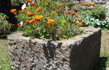 Quintal d'Angra - Photo 32