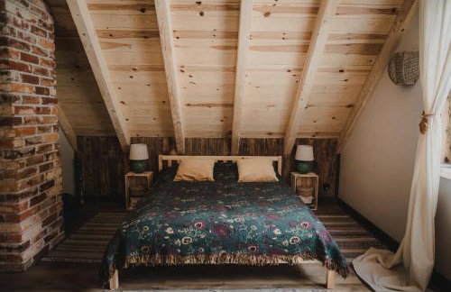 Mech i brzoza - Foto 22