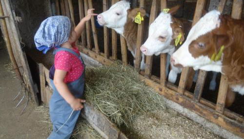 Bachtelhuber-Hof - Foto 5