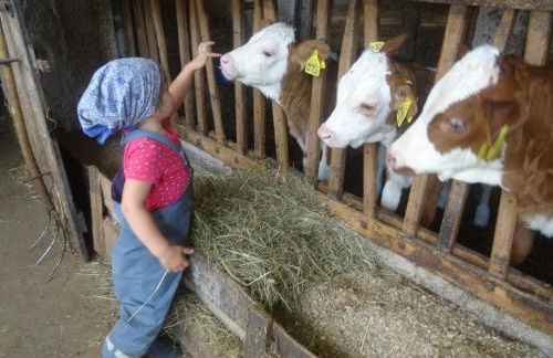 Bachtelhuber-Hof - Foto 5