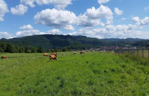 Welcoming Bungalows in Neustadt - Foto 38