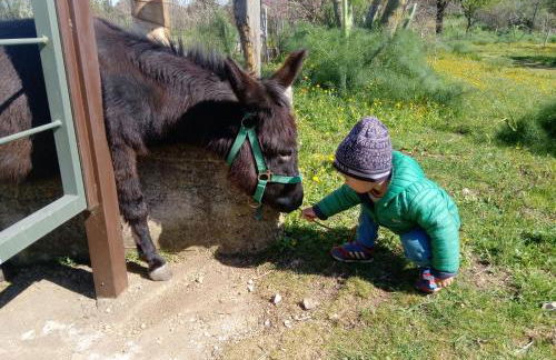 Agriturismo Poggio Ferrata - Foto 28