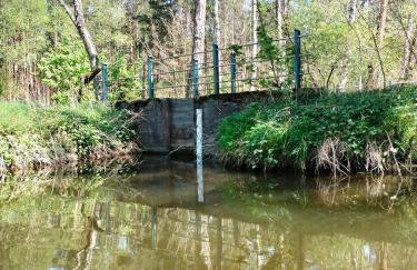 Leśna Chata kuracyjna nad rzeką z sauną w Borach Tucholskich - Foto 60