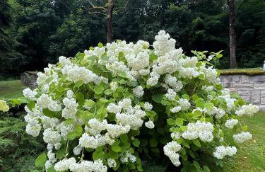 Roman Tarnawa "Nasz Domek" - Foto 21