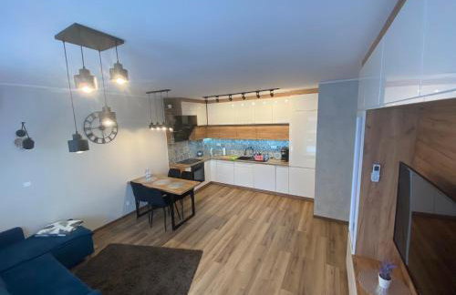 Apartament Calisia - Foto 8