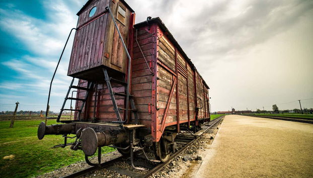 Auschwitz and Salt Mine Private Tour - Foto 4, Train tracks