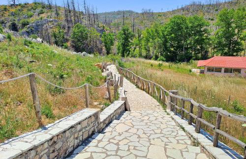 Timber Dream - Photo 26