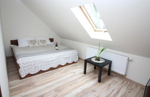 Apartamenty Trzciana - Foto 10