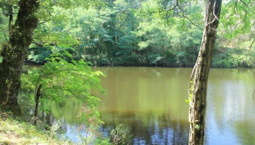 Gîte de Charme pour 6 pers, Jardin & Étang privé - FR-1-496-157 - Foto 2