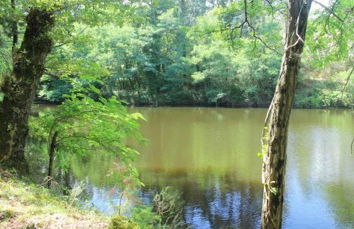 Gîte de Charme pour 6 pers, Jardin & Étang privé - FR-1-496-157 - Foto 2