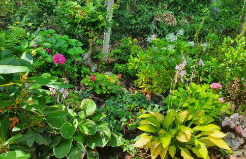 Waldhaus Harz, Natur pur mit Pool, Sauna und traumhaften Garten - Foto 4