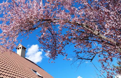 Puente Canto de Gredos - Photo 54