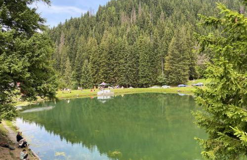 L'Ecrin des Myrtilles - Appartement cosy - Piscine et vue montagne - Alpes - Val d'Arly - Aravis et Beaufortain - Foto 9