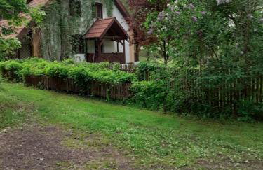 Villa Stare Osieczno - Foto 48