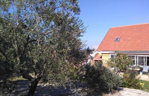 The Olive Garden - Foto 9