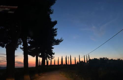 Agriturismo Campolungo - Foto 79