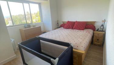 Appartement 6 couchages, Tout confort, pieds des pistes, ménage & linge de maison inclus - Foto 3