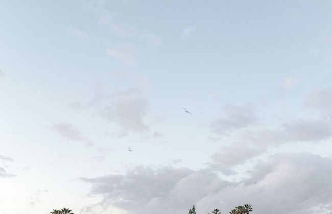 Terra Finis - Foto 79