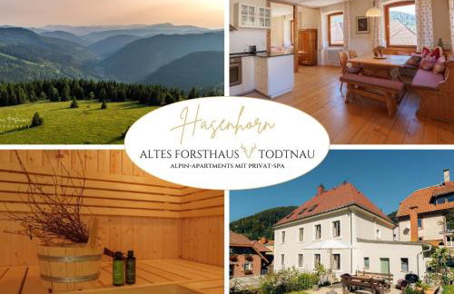 Altes Forsthaus - Fewo "Hasenhorn", mit privater Sauna ,Todtnau- Feldberg - Foto 3