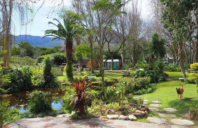 Waterland - Photo 53