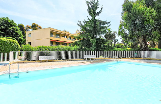 Les Eucalyptus - Foto 14