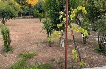 Cosy spot near the beach only 45 min from Athens - Foto 2